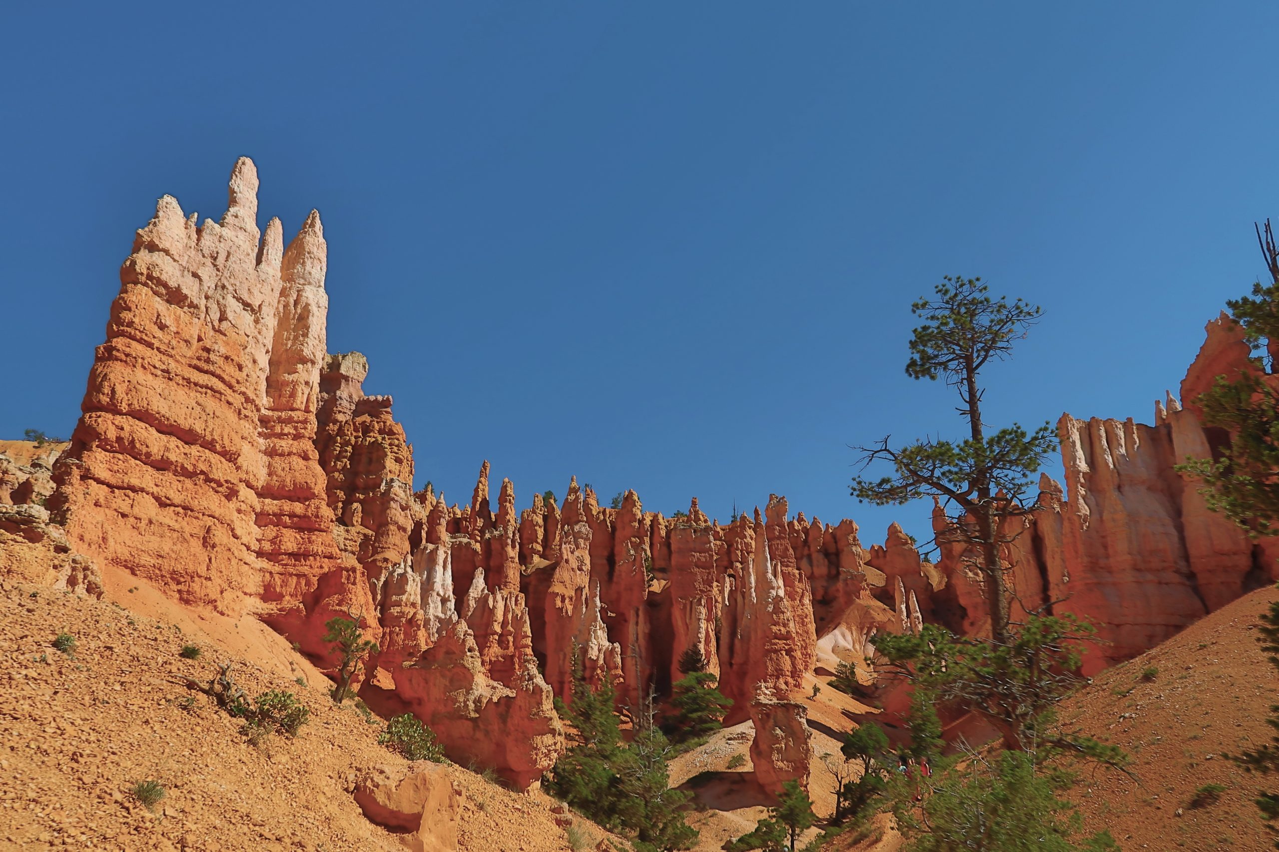 bryce canyon