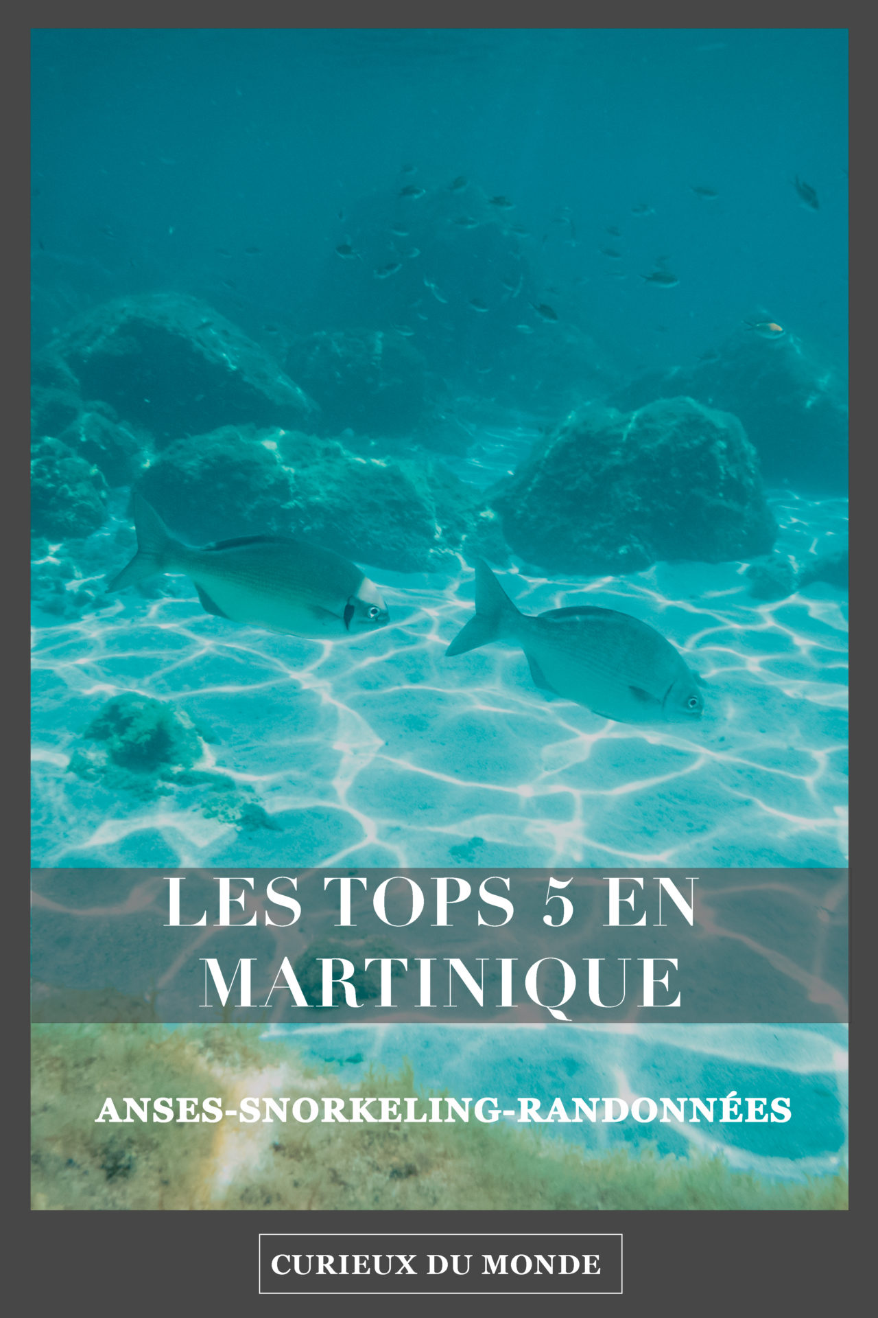 TOP5_en_Martinique