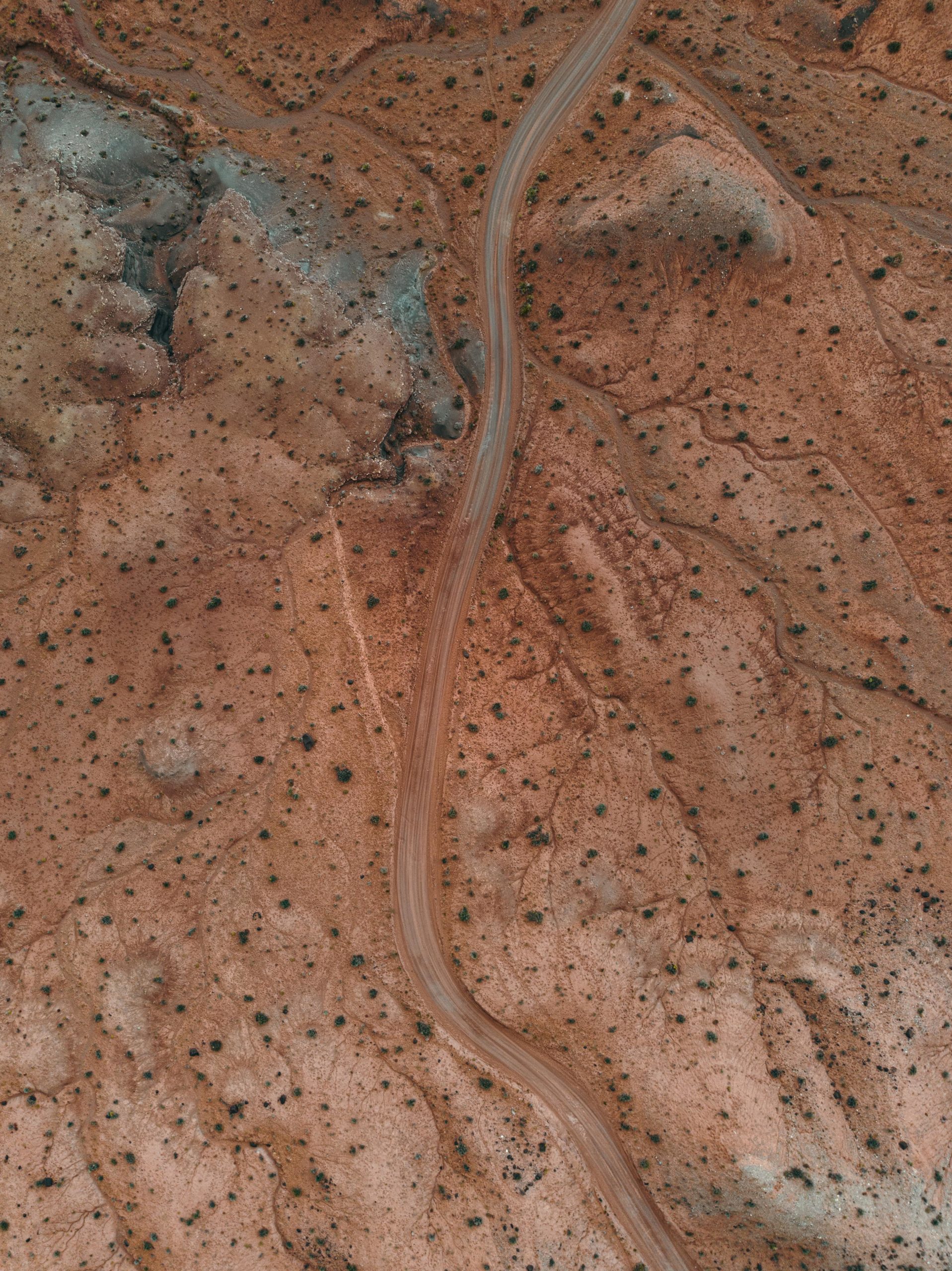 Capitol Reef-13