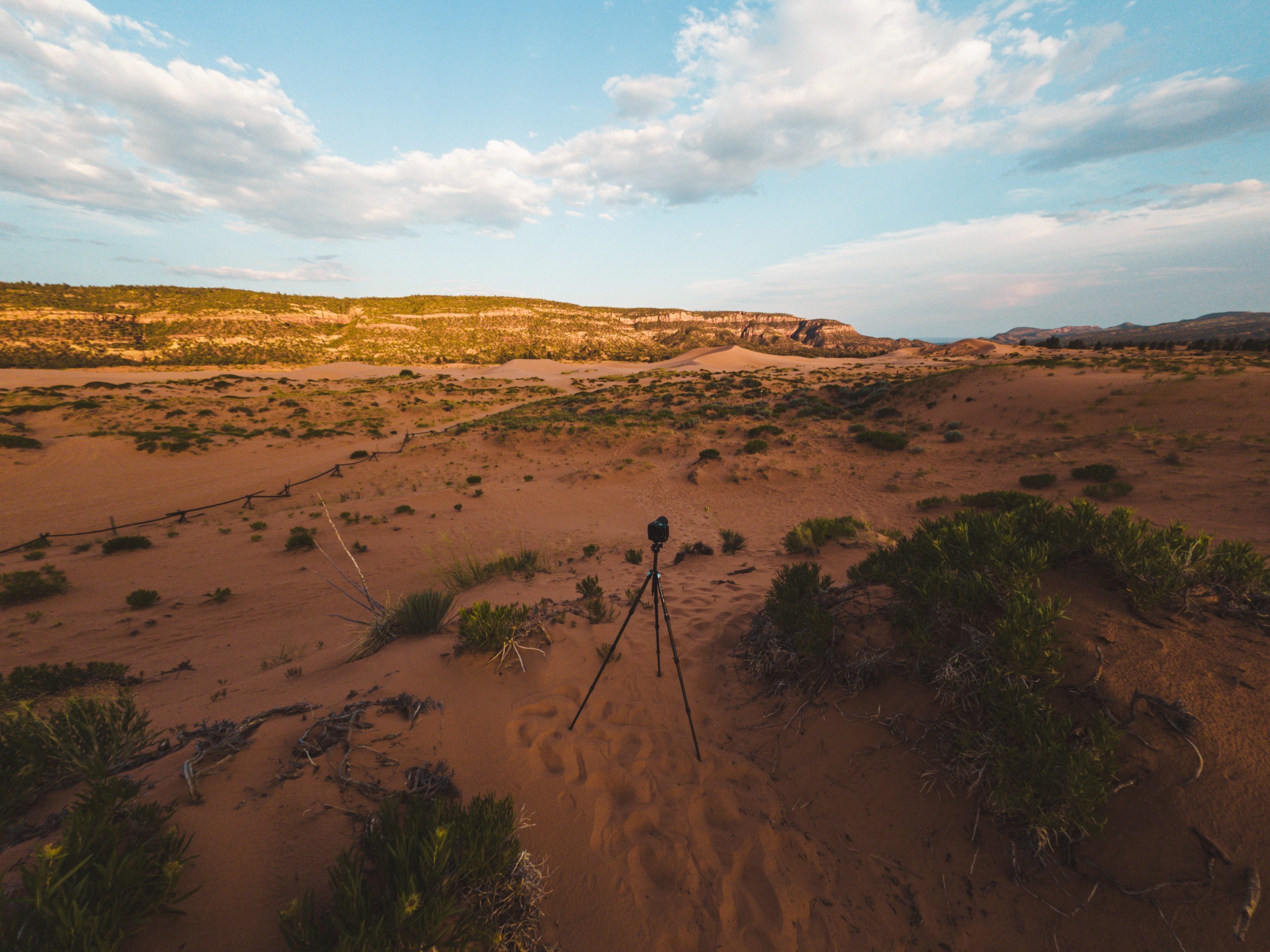 dji_mimo_20240722_200226_59_1721700156421_photo