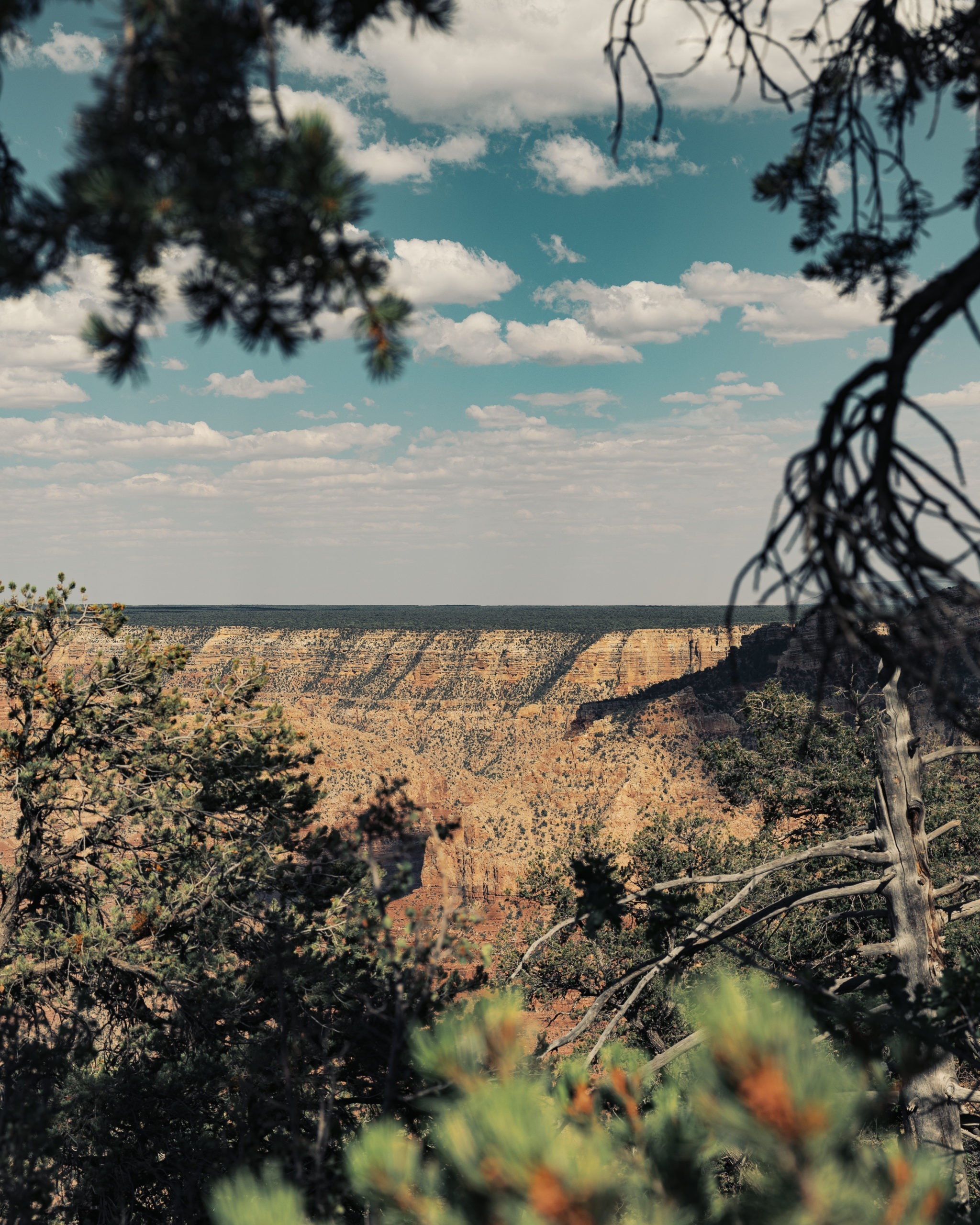 Grand Canyon-3