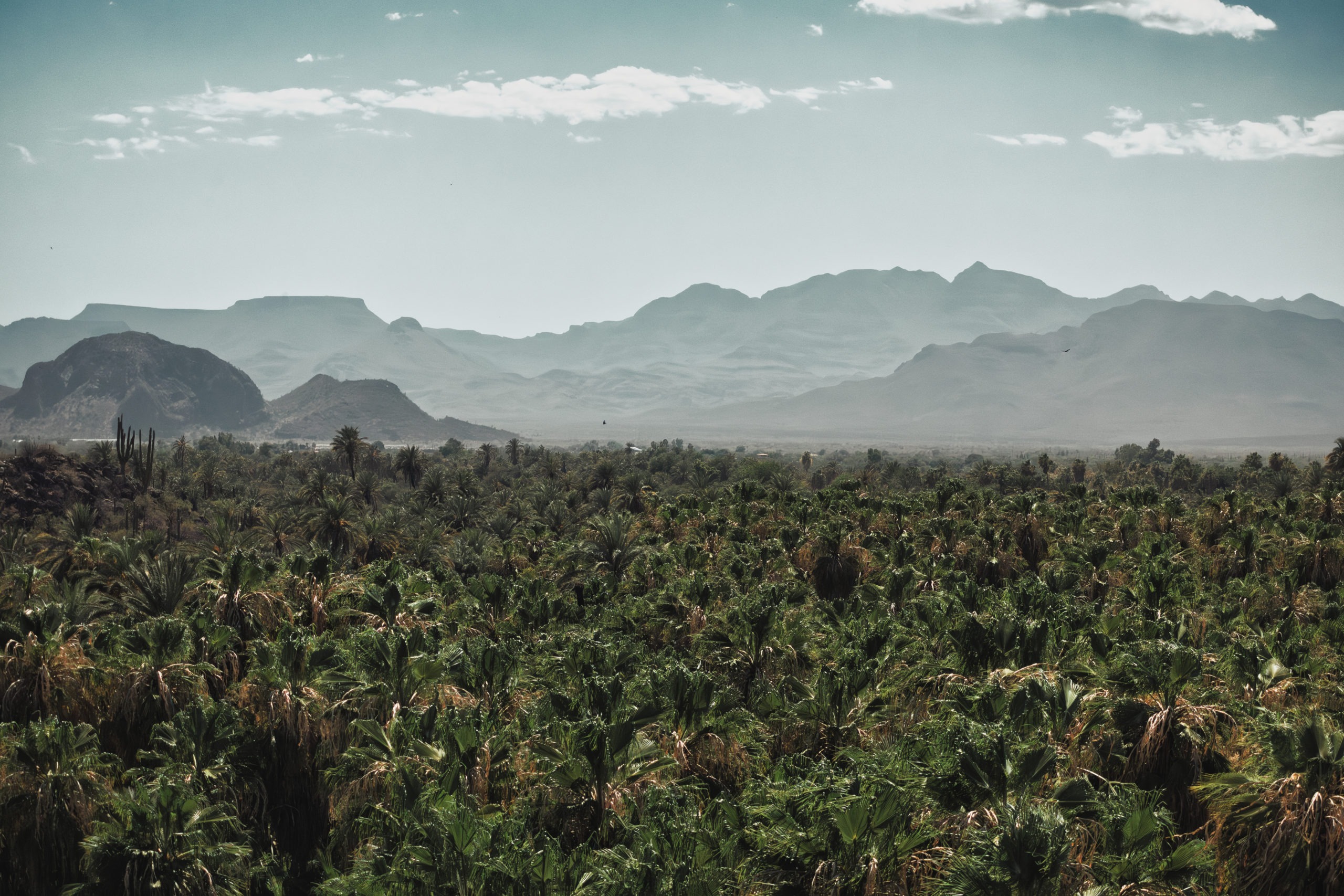 Mulege