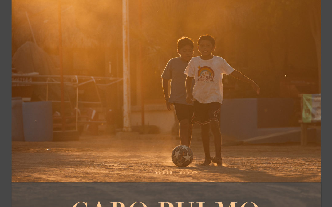 Carnet de route en Basse-Californie du sud– Cabo Pulmo