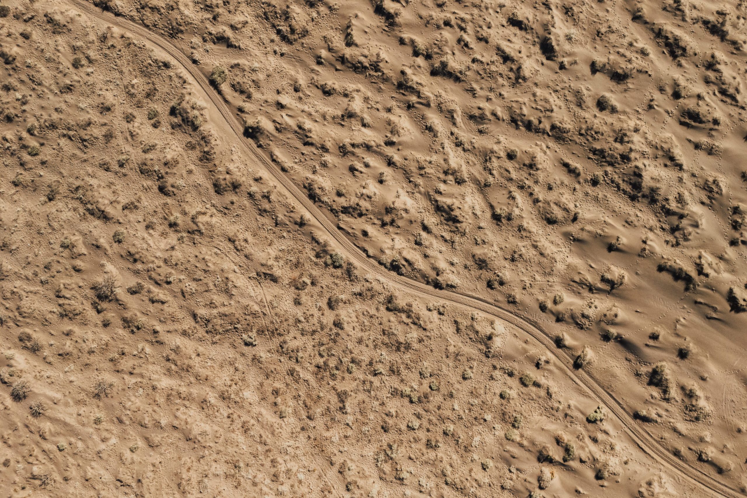 Dune el Mogote