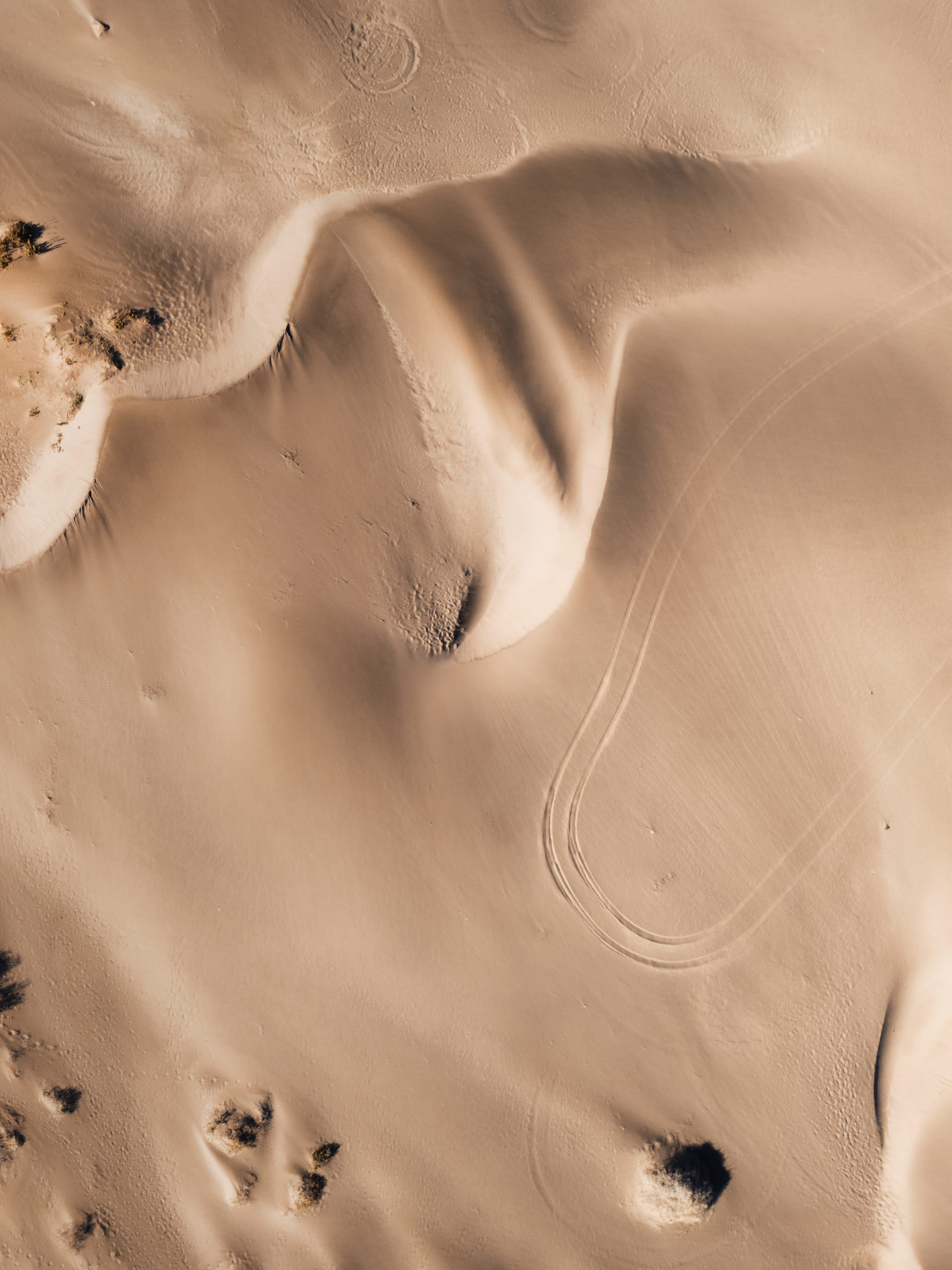 Dune el Mogote