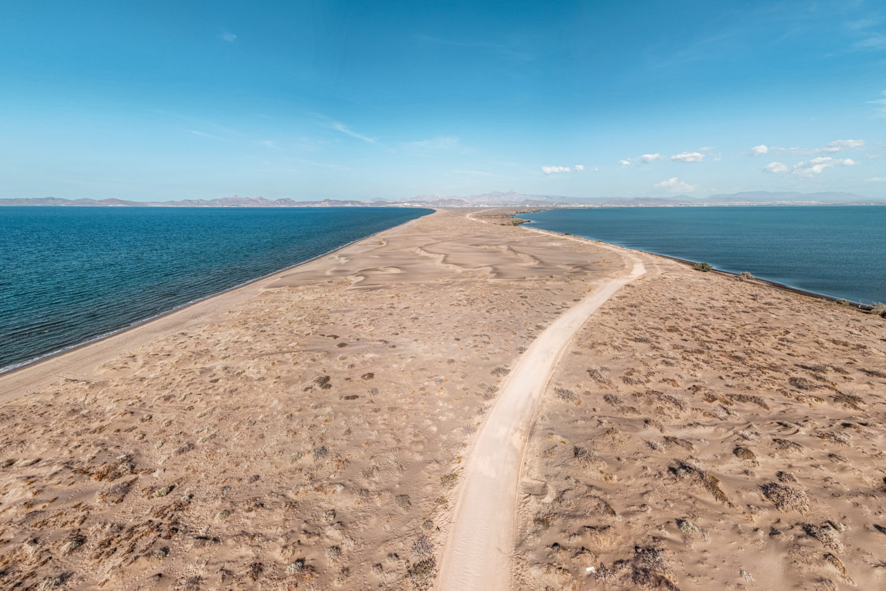 Dune mogote