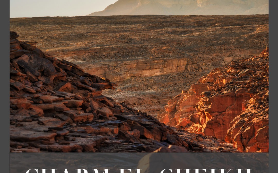 Charm el-Cheikh : Noël sous le soleil !