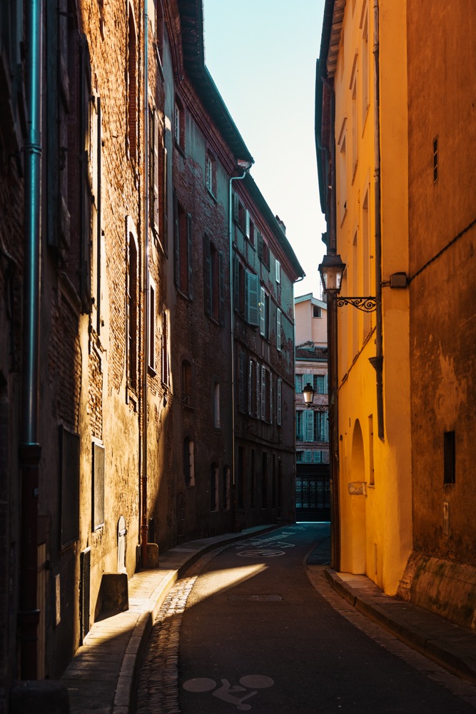 Rue merlane