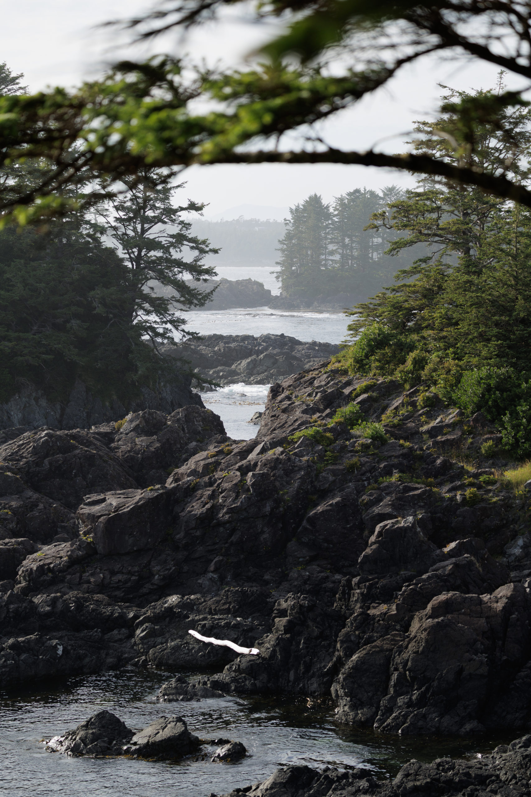 Wild Pacific Trail