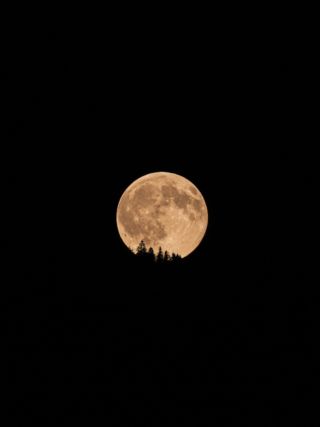 Lune des moissons