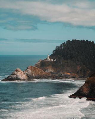 Oregon sauvage